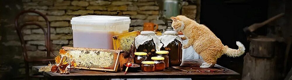 Мальской мед